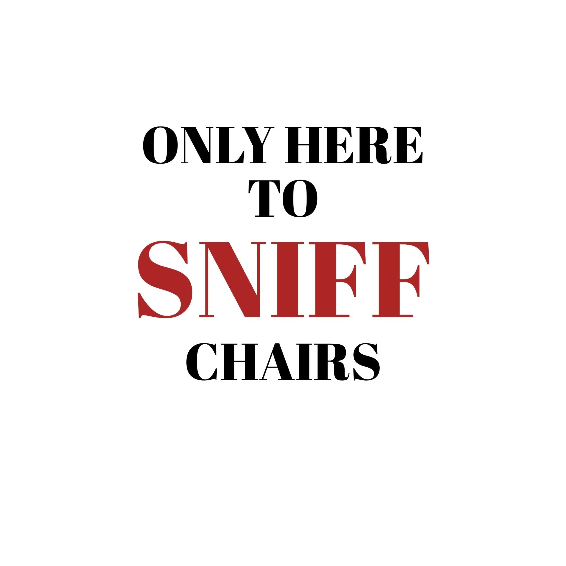 Only here to sniff chairs